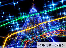 C~l[V